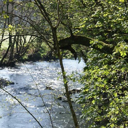 Scenery Cottage Bridford Esterno foto
